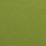 Needle Stripe Cotton Jersey - Kiwi / Chartreuse